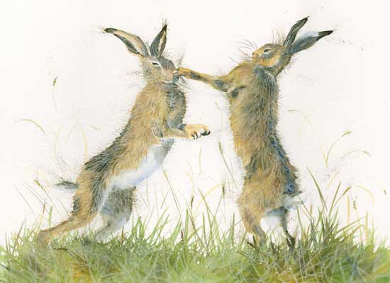 Take That (Hares) - LGE 