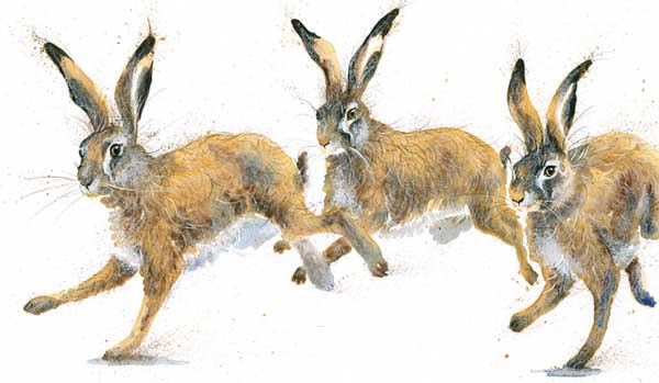 Playmates (Hares) - LGE