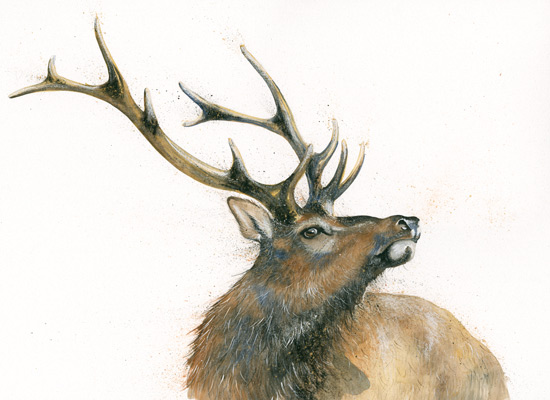 Monarch Of The Glen (Stag) - SML