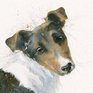 Russell (Jack Russell)