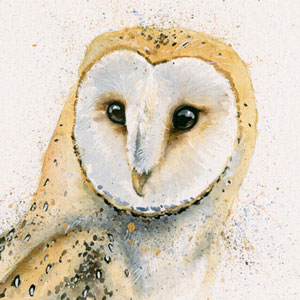 Barney (Barn Owl)