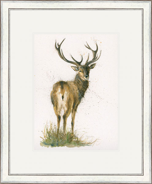 Highlander (Stag) - SML