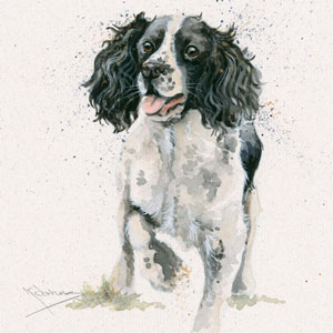 Jasper (Springer)