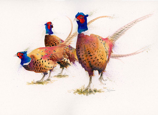 The Gentry (Pheasants) - SML