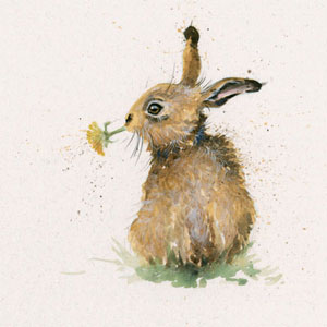 Kenny (Hare)