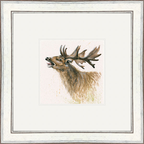 The Rut (Stag) 