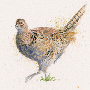 Lady Of The Manor (Pheasant)