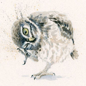 Little Scratch (Owl) 