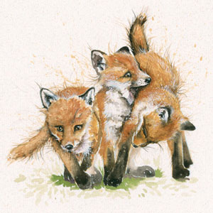 Foxes