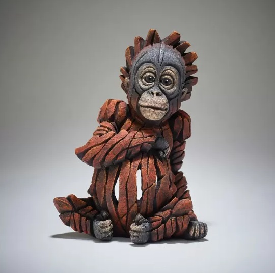Baby Orangutan