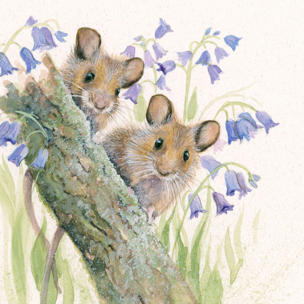 Bluebells - Harvest Mice