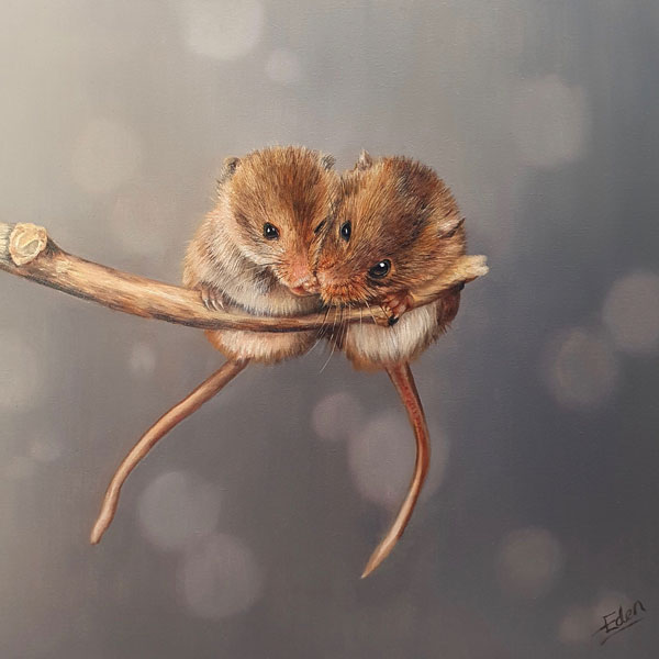 Bubble and Squeak - Dormice