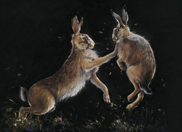 Bun Fight (Hares) - MED