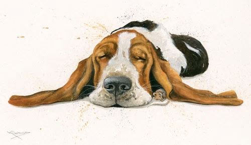 Do Not Disturb (Basset Hound) 