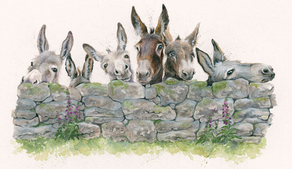 Talk To The Wall - Donkeys SML