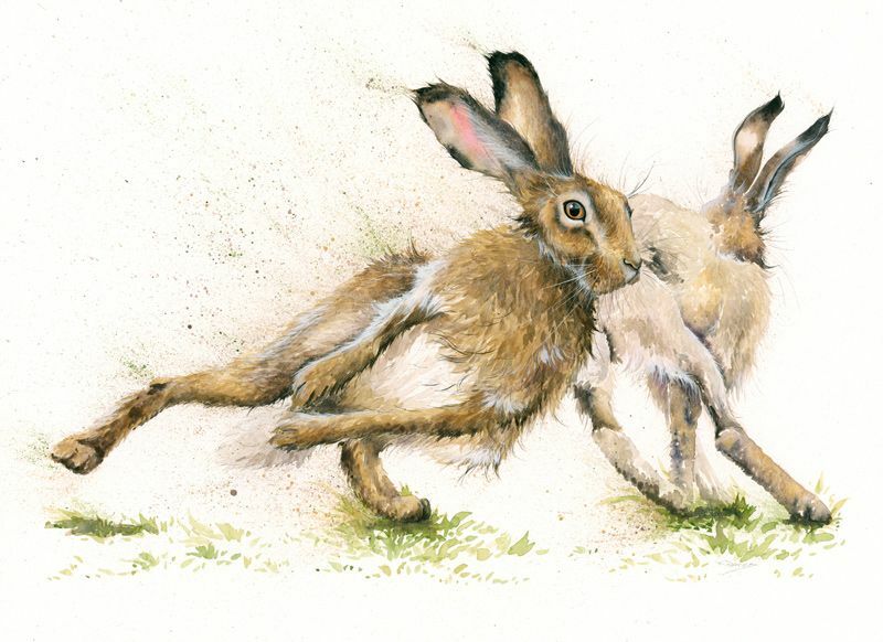 Hare Racing - LGE 