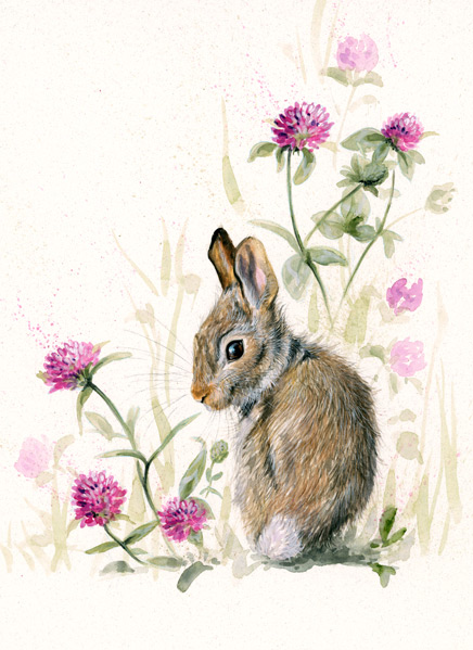 In The Pink - Leveret SML