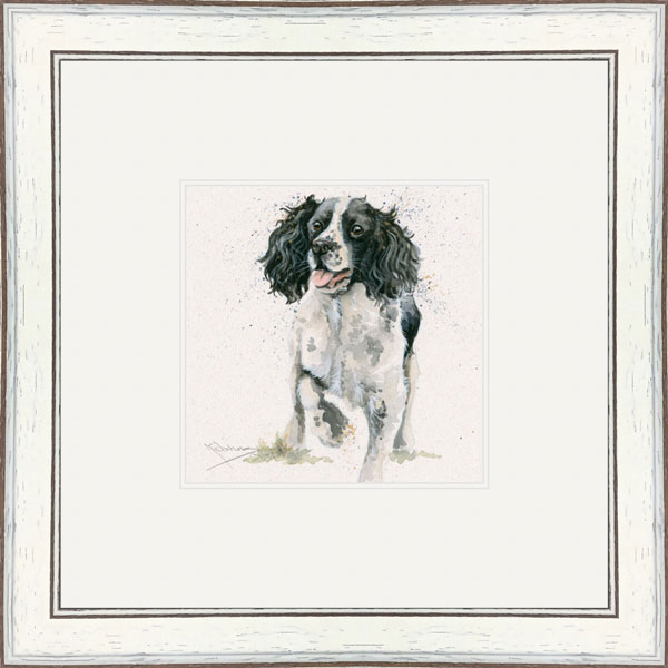 Jasper (Springer)