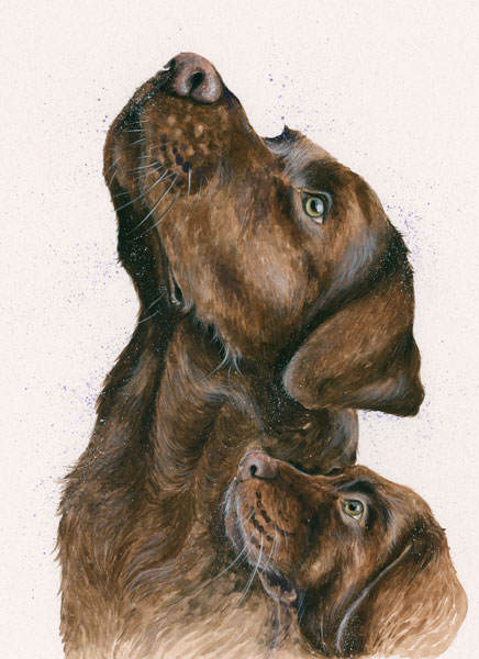 Lab Assistant - Chocolate Labradors