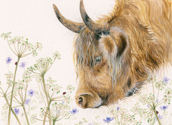 Ladies Day - Highland Cow SML