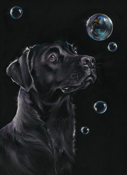 On Reflection (Black Lab) - SML