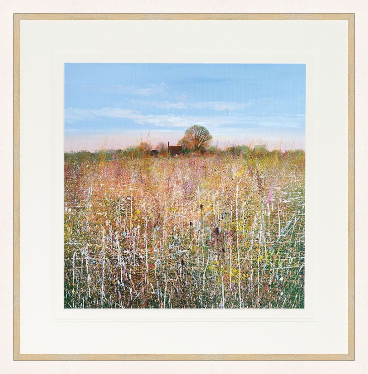 Wild Summer Meadow