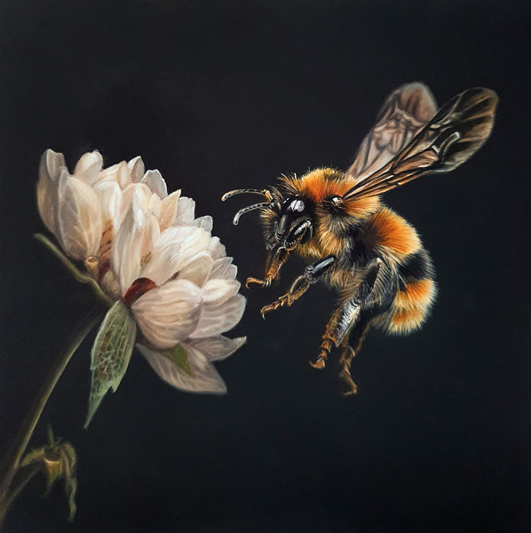 The Pollinator (Bee)