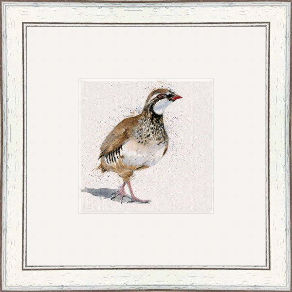 Red Baron (Red Legged Partridge)