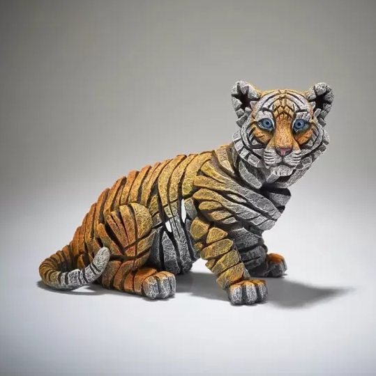 Bengal Tiger Cub