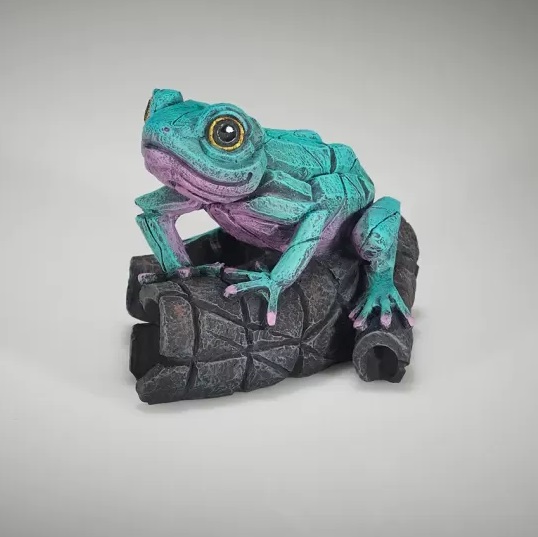 African Tree Frog - Aqua Pink