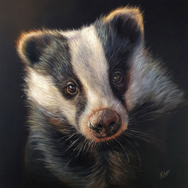 The Young Explorer (Badger)