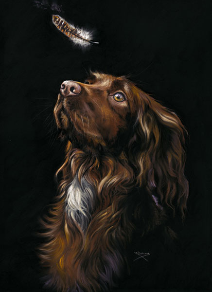 Heaven Sent (Cocker Spaniel)  - SML  