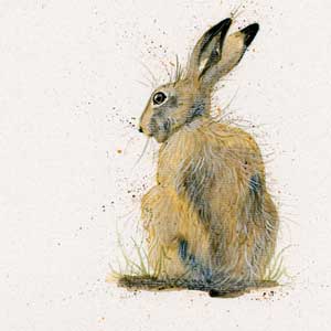 Sally (Hare) 