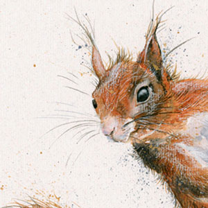 The Nutter (Red Squirrel)