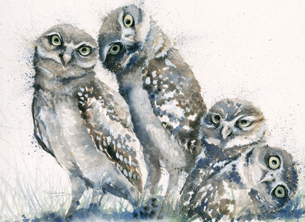 A Family Portrait (Owls)