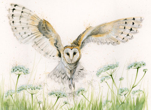 A Wing And A Prayer (Barn Owl) - LGE