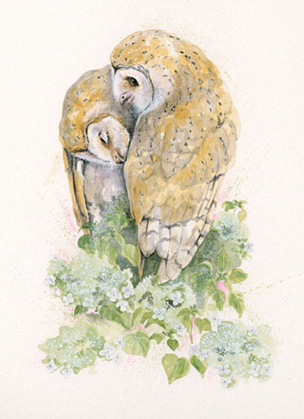 Owl Always Love You (Owls) 
