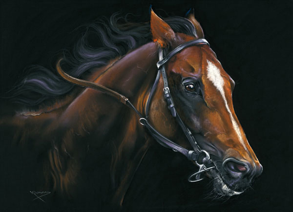By A Nose (Racehorse) - SML 