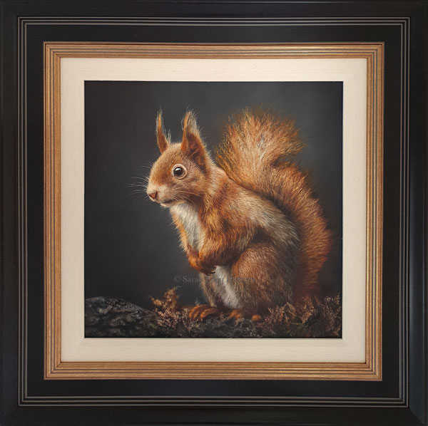 Sarah Eden - Little Red (Squirrel)
