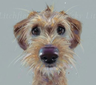 Nicky Litchfield