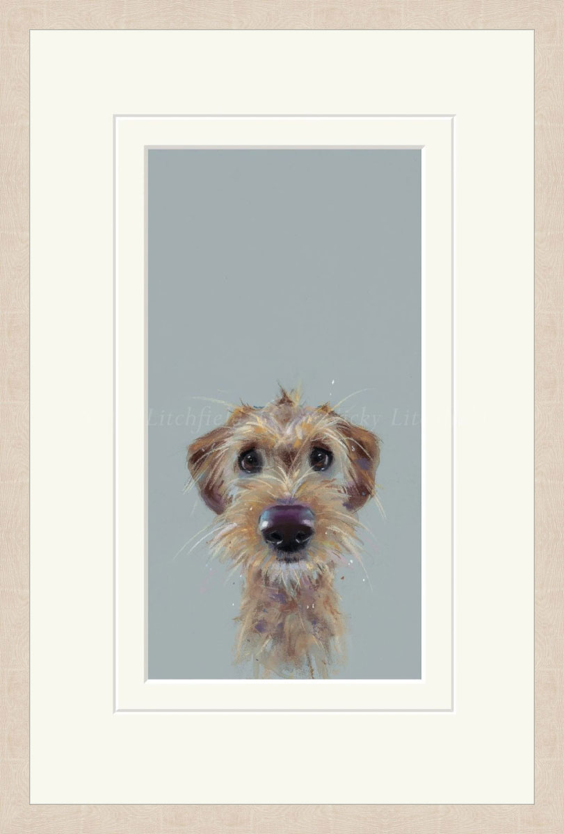 Nicky Litchfield - Scruff