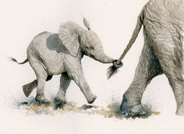 Pull The Other One (Elephants) - SML 