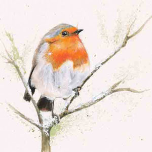 Red Red Robin (Robin) 