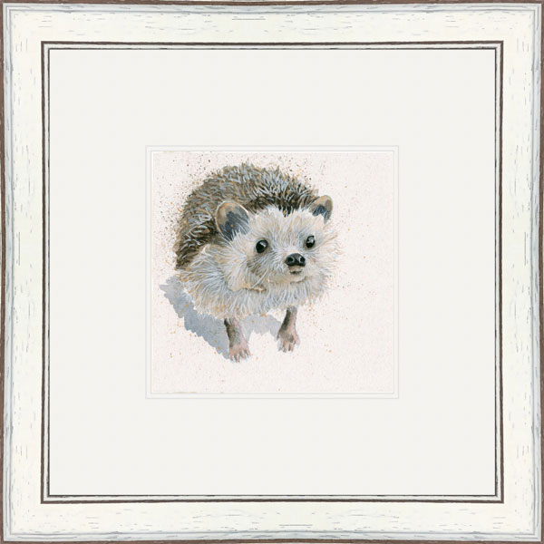Spike (Hedgehog) 