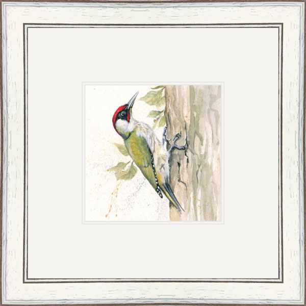 Knock Knock (Green Woodpecker) 