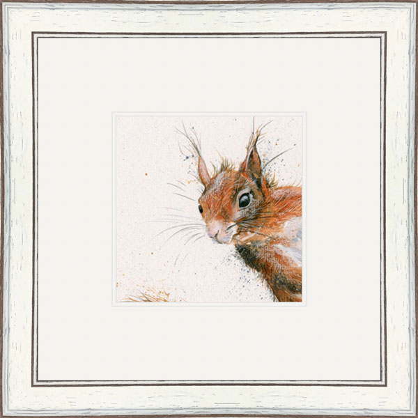The Nutter (Red Squirrel)
