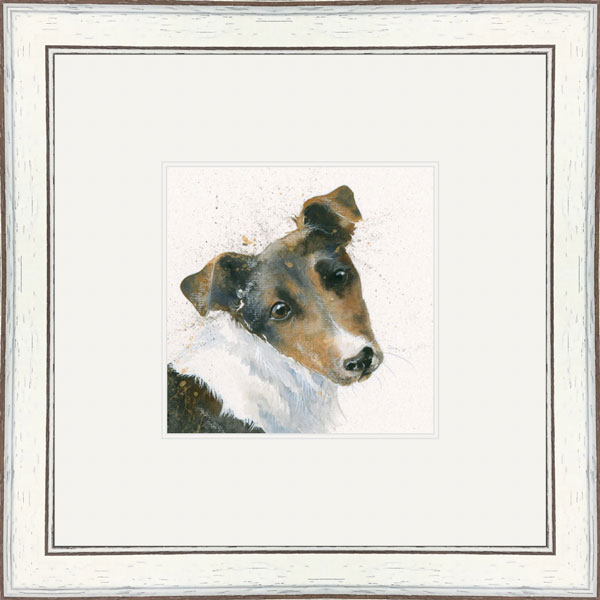 Russell (Jack Russell)